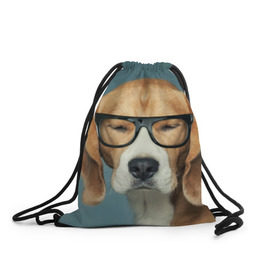 Рюкзак-мешок 3D с принтом Бигль в Екатеринбурге, 100% полиэстер | плотность ткани — 200 г/м2, размер — 35 х 45 см; лямки — толстые шнурки, застежка на шнуровке, без карманов и подкладки | бигль | гончая | дворняжка | охотничья | песик | песики | собака | собаки