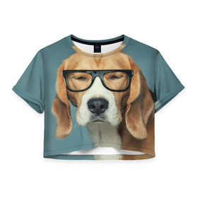 Женская футболка 3D укороченная с принтом Бигль в Екатеринбурге, 100% полиэстер | круглая горловина, длина футболки до линии талии, рукава с отворотами | бигль | гончая | дворняжка | охотничья | песик | песики | собака | собаки