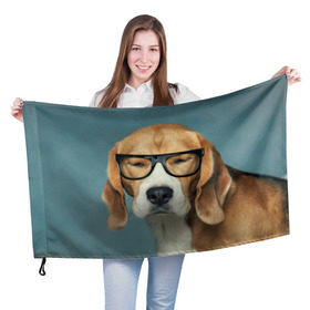 Флаг 3D с принтом Бигль в Екатеринбурге, 100% полиэстер | плотность ткани — 95 г/м2, размер — 67 х 109 см. Принт наносится с одной стороны | бигль | гончая | дворняжка | охотничья | песик | песики | собака | собаки