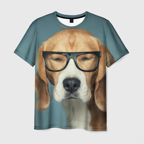 Мужская футболка 3D с принтом Бигль в Екатеринбурге, 100% полиэфир | прямой крой, круглый вырез горловины, длина до линии бедер | бигль | гончая | дворняжка | охотничья | песик | песики | собака | собаки