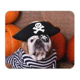 Коврик прямоугольный с принтом Бульдог - пират в Екатеринбурге, натуральный каучук | размер 230 х 185 мм; запечатка лицевой стороны | Тематика изображения на принте: бульдог | бульдоги | песик | песики | пират | пираты | прикольные | собака | собаки