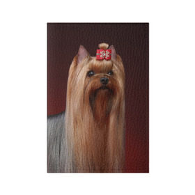 Обложка для паспорта матовая кожа с принтом Йоркширский терьер в Екатеринбурге, натуральная матовая кожа | размер 19,3 х 13,7 см; прозрачные пластиковые крепления | Тематика изображения на принте: йоркширский | песик | песики | собака | собаки | терьер