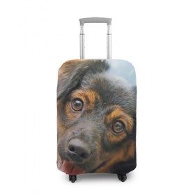 Чехол для чемодана 3D с принтом Длинношерстная такса в Екатеринбурге, 86% полиэфир, 14% спандекс | двустороннее нанесение принта, прорези для ручек и колес | дворняжка | песик | собака | собаки | собачка | собачки | такса | таксы