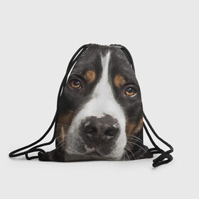 Рюкзак-мешок 3D с принтом Зенненхунд в Екатеринбурге, 100% полиэстер | плотность ткани — 200 г/м2, размер — 35 х 45 см; лямки — толстые шнурки, застежка на шнуровке, без карманов и подкладки | большая собака | зенненхунд | пес | песик | сенбернар | собака | собаки