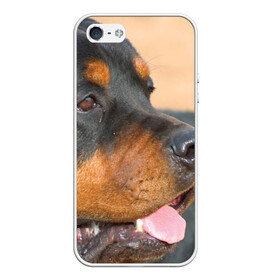 Чехол для iPhone 5/5S матовый с принтом Ротвейлер в Екатеринбурге, Силикон | Область печати: задняя сторона чехла, без боковых панелей | большая | пес | песик | псина | ротвейлер | ротвейлеры | собака | собаки