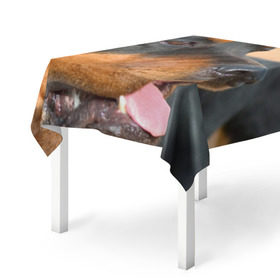 Скатерть 3D с принтом Ротвейлер в Екатеринбурге, 100% полиэстер (ткань не мнется и не растягивается) | Размер: 150*150 см | большая | пес | песик | псина | ротвейлер | ротвейлеры | собака | собаки