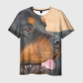 Мужская футболка 3D с принтом Ротвейлер в Екатеринбурге, 100% полиэфир | прямой крой, круглый вырез горловины, длина до линии бедер | большая | пес | песик | псина | ротвейлер | ротвейлеры | собака | собаки