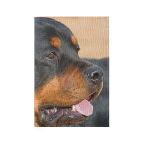 Обложка для паспорта матовая кожа с принтом Ротвейлер в Екатеринбурге, натуральная матовая кожа | размер 19,3 х 13,7 см; прозрачные пластиковые крепления | большая | пес | песик | псина | ротвейлер | ротвейлеры | собака | собаки