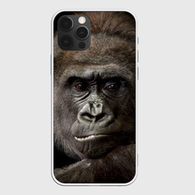 Чехол для iPhone 12 Pro Max с принтом Взгляд в Екатеринбурге, Силикон |  | взгляд | голова | животные | обезьяна | природа