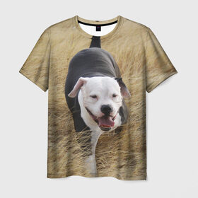 Мужская футболка 3D с принтом Пит-буль на траве в Екатеринбурге, 100% полиэфир | прямой крой, круглый вырез горловины, длина до линии бедер | Тематика изображения на принте: амстафф | буль | пес | песик | питбули | питбуль | собака | собаки | стафф | терьер
