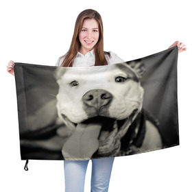 Флаг 3D с принтом Пит-буль в Екатеринбурге, 100% полиэстер | плотность ткани — 95 г/м2, размер — 67 х 109 см. Принт наносится с одной стороны | амстафф | буль | пес | песик | питбули | питбуль | собака | собаки | стафф | терьер