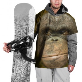 Накидка на куртку 3D с принтом Взгляд в Екатеринбурге, 100% полиэстер |  | взгляд | голова | животные | о.м.с.к. | обезьяна | природа