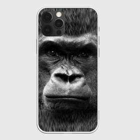 Чехол для iPhone 12 Pro Max с принтом Взгляд в Екатеринбурге, Силикон |  | взгляд | голова | животные | о.м.с.к. | обезьяна | природа