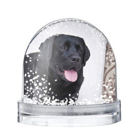 Снежный шар с принтом Черный лабрадор в Екатеринбурге, Пластик | Изображение внутри шара печатается на глянцевой фотобумаге с двух сторон | большая | золотистый | лабрадор | лабрадоры | палевый | песик | ретривер | собака | собаки