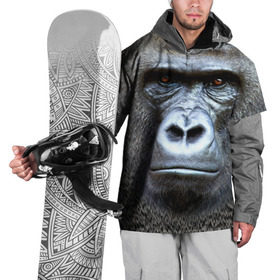Накидка на куртку 3D с принтом Взгляд в Екатеринбурге, 100% полиэстер |  | взгляд | голова | животные | обезьяна | природа
