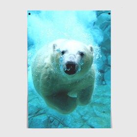 Постер с принтом медведь в Екатеринбурге, 100% бумага
 | бумага, плотность 150 мг. Матовая, но за счет высокого коэффициента гладкости имеет небольшой блеск и дает на свету блики, но в отличии от глянцевой бумаги не покрыта лаком | медведь | пловец