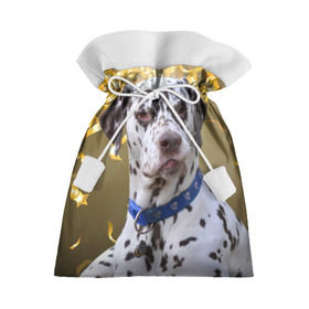 Подарочный 3D мешок с принтом Скептический далматин в Екатеринбурге, 100% полиэстер | Размер: 29*39 см | Тематика изображения на принте: далматин | далматинец | песик | пятнистый | собака | собаки
