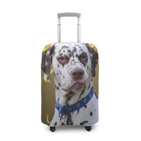 Чехол для чемодана 3D с принтом Скептический далматин в Екатеринбурге, 86% полиэфир, 14% спандекс | двустороннее нанесение принта, прорези для ручек и колес | далматин | далматинец | песик | пятнистый | собака | собаки