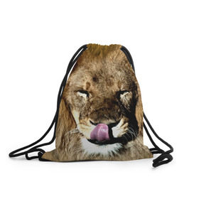 Рюкзак-мешок 3D с принтом Взгляд в Екатеринбурге, 100% полиэстер | плотность ткани — 200 г/м2, размер — 35 х 45 см; лямки — толстые шнурки, застежка на шнуровке, без карманов и подкладки | взгляд | животные | кот | лев