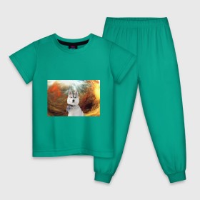 Детская пижама хлопок с принтом Хаски в Екатеринбурге, 100% хлопок |  брюки и футболка прямого кроя, без карманов, на брюках мягкая резинка на поясе и по низу штанин
 | маламут | песик | собака | собаки | собачка | хаски