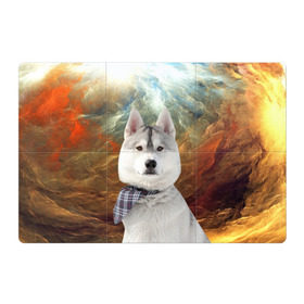 Магнитный плакат 3Х2 с принтом Хаски в Екатеринбурге, Полимерный материал с магнитным слоем | 6 деталей размером 9*9 см | маламут | песик | собака | собаки | собачка | хаски
