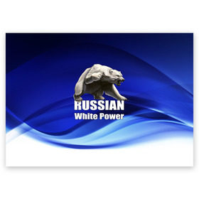 Поздравительная открытка с принтом Russian white power в Екатеринбурге, 100% бумага | плотность бумаги 280 г/м2, матовая, на обратной стороне линовка и место для марки
 | Тематика изображения на принте: медведь | патриот | русский | русы | русь | сила | славяне