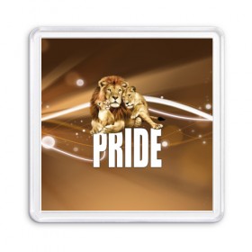 Магнит 55*55 с принтом Pride в Екатеринбурге, Пластик | Размер: 65*65 мм; Размер печати: 55*55 мм | lion | голова животного | кот | кошка | лев | хищник | царь | цвет
