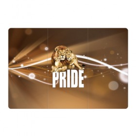 Магнитный плакат 3Х2 с принтом Pride в Екатеринбурге, Полимерный материал с магнитным слоем | 6 деталей размером 9*9 см | lion | голова животного | кот | кошка | лев | хищник | царь | цвет
