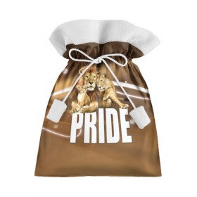 Подарочный 3D мешок с принтом Pride в Екатеринбурге, 100% полиэстер | Размер: 29*39 см | lion | голова животного | кот | кошка | лев | хищник | царь | цвет