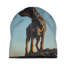 Шапка 3D с принтом Доберман в Екатеринбурге, 100% полиэстер | универсальный размер, печать по всей поверхности изделия | Тематика изображения на принте: доберман | доберманы | пес | песик | псы | собака | собаки