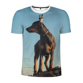 Мужская футболка 3D спортивная с принтом Доберман в Екатеринбурге, 100% полиэстер с улучшенными характеристиками | приталенный силуэт, круглая горловина, широкие плечи, сужается к линии бедра | доберман | доберманы | пес | песик | псы | собака | собаки