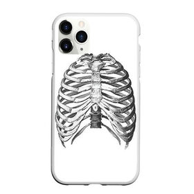Чехол для iPhone 11 Pro Max матовый с принтом Ребра в Екатеринбурге, Силикон |  | bones | halloween | skull | скелет | скелеты | хеллоиун | хэллоуин | хэлоуин | череп | черепа