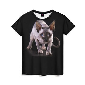 Женская футболка 3D с принтом Сфинкс в Екатеринбурге, 100% полиэфир ( синтетическое хлопкоподобное полотно) | прямой крой, круглый вырез горловины, длина до линии бедер | взгляд | глаза | голова животного | киска | кот | котёнок | кошка | прикольные картинки
