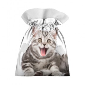Подарочный 3D мешок с принтом Милашка в Екатеринбурге, 100% полиэстер | Размер: 29*39 см | Тематика изображения на принте: кот | котенок | кошка