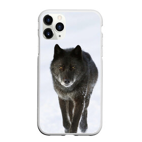 Чехол для iPhone 11 Pro Max матовый с принтом Черный волк в Екатеринбурге, Силикон |  | Тематика изображения на принте: дикий | зима