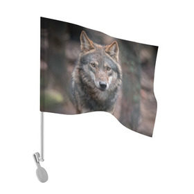 Флаг для автомобиля с принтом Wolf в Екатеринбурге, 100% полиэстер | Размер: 30*21 см | зверь | лес