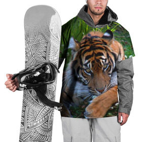 Накидка на куртку 3D с принтом Скромный тигр в Екатеринбурге, 100% полиэстер |  | Тематика изображения на принте: дикие | лев | милые | новинки | орел | популярные | прикольные | природа | птицы | тигр | яркие