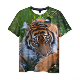 Мужская футболка 3D с принтом Скромный тигр в Екатеринбурге, 100% полиэфир | прямой крой, круглый вырез горловины, длина до линии бедер | Тематика изображения на принте: дикие | лев | милые | новинки | орел | популярные | прикольные | природа | птицы | тигр | яркие
