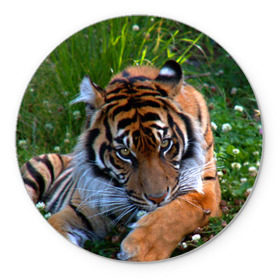 Коврик круглый с принтом Скромный тигр в Екатеринбурге, резина и полиэстер | круглая форма, изображение наносится на всю лицевую часть | Тематика изображения на принте: дикие | лев | милые | новинки | орел | популярные | прикольные | природа | птицы | тигр | яркие