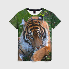 Женская футболка 3D с принтом Скромный тигр в Екатеринбурге, 100% полиэфир ( синтетическое хлопкоподобное полотно) | прямой крой, круглый вырез горловины, длина до линии бедер | Тематика изображения на принте: дикие | лев | милые | новинки | орел | популярные | прикольные | природа | птицы | тигр | яркие