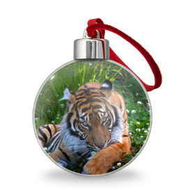 Ёлочный шар с принтом Скромный тигр в Екатеринбурге, Пластик | Диаметр: 77 мм | дикие | лев | милые | новинки | орел | популярные | прикольные | природа | птицы | тигр | яркие