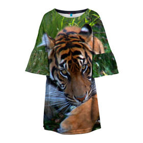 Детское платье 3D с принтом Скромный тигр в Екатеринбурге, 100% полиэстер | прямой силуэт, чуть расширенный к низу. Круглая горловина, на рукавах — воланы | Тематика изображения на принте: дикие | лев | милые | новинки | орел | популярные | прикольные | природа | птицы | тигр | яркие