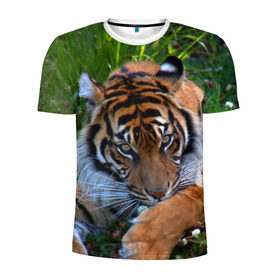 Мужская футболка 3D спортивная с принтом Скромный тигр в Екатеринбурге, 100% полиэстер с улучшенными характеристиками | приталенный силуэт, круглая горловина, широкие плечи, сужается к линии бедра | Тематика изображения на принте: дикие | лев | милые | новинки | орел | популярные | прикольные | природа | птицы | тигр | яркие