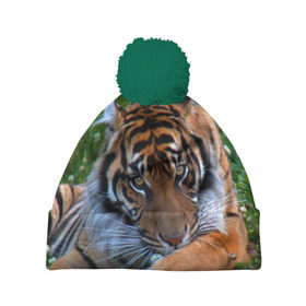 Шапка 3D c помпоном с принтом Скромный тигр в Екатеринбурге, 100% полиэстер | универсальный размер, печать по всей поверхности изделия | дикие | лев | милые | новинки | орел | популярные | прикольные | природа | птицы | тигр | яркие