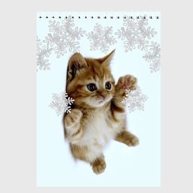 Скетчбук с принтом Котенок и снежинки в Екатеринбурге, 100% бумага
 | 48 листов, плотность листов — 100 г/м2, плотность картонной обложки — 250 г/м2. Листы скреплены сверху удобной пружинной спиралью | Тематика изображения на принте: 2017 | котенок | милые создания | милый котенок | новый год | подарок на новый год | снежинки
