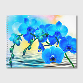Альбом для рисования с принтом Орхидеи в Екатеринбурге, 100% бумага
 | матовая бумага, плотность 200 мг. | орхидея | природа | цветы