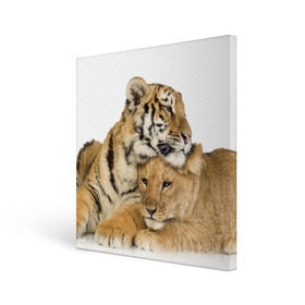 Холст квадратный с принтом Тигр и львица в Екатеринбурге, 100% ПВХ |  | Тематика изображения на принте: дикие | милые | природа | тигр | яркие