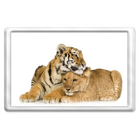 Магнит 45*70 с принтом Тигр и львица в Екатеринбурге, Пластик | Размер: 78*52 мм; Размер печати: 70*45 | дикие | милые | природа | тигр | яркие