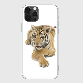 Чехол для iPhone 12 Pro Max с принтом Ласковый тигренок в Екатеринбурге, Силикон |  | Тематика изображения на принте: дикие | милые | природа | тигр | яркие