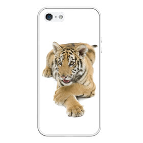 Чехол для iPhone 5/5S матовый с принтом Ласковый тигренок в Екатеринбурге, Силикон | Область печати: задняя сторона чехла, без боковых панелей | дикие | милые | природа | тигр | яркие